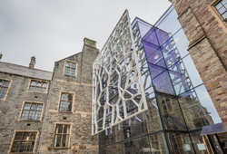 Image of the Voronoi Screen in the Fry Building